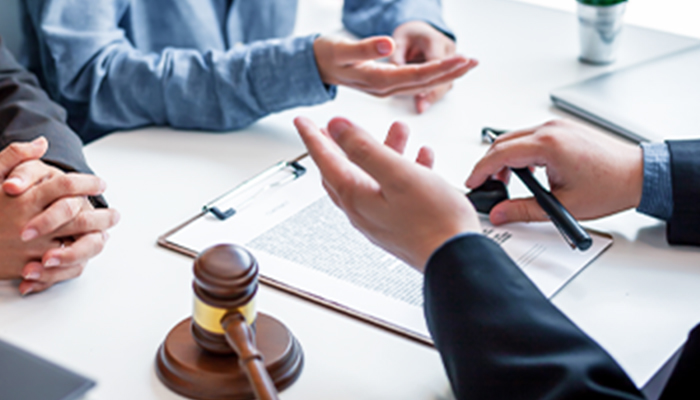 Litigation and Appeals